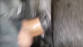Soaked mare's cunt being pounded by a well-hung guy