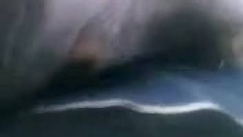 Guy wields his massive dick to discipline a beast