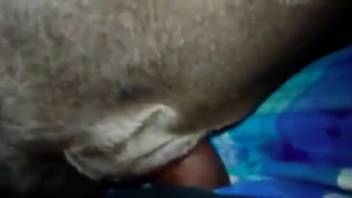 Guy's dick slamming a canine's snug vagina in this clip