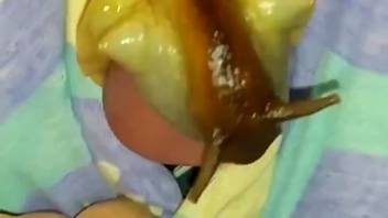 Those slimy snails circling that alluring uncircumcised penis