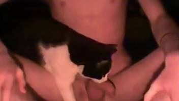 Hot feline tonguing this guy's butthole and dick as well