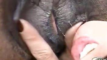 Mare lick